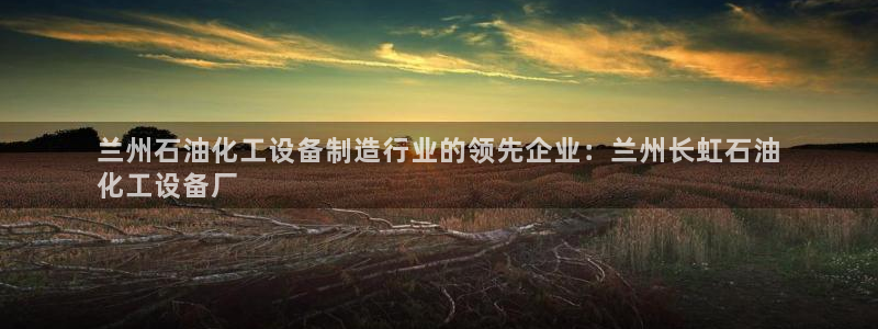 新城平台登录入口官网网址