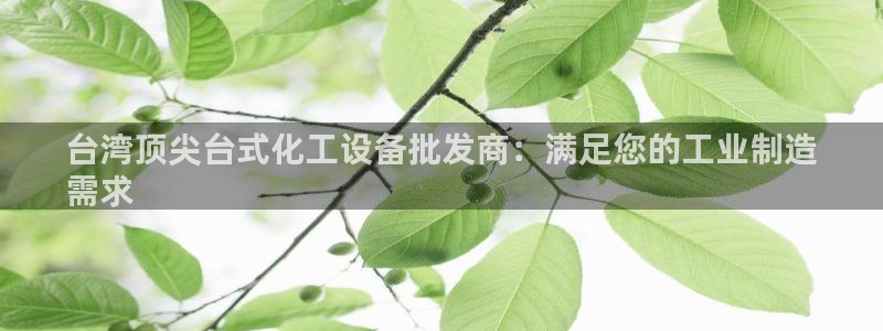 新城平台登录入口官网网址是什么
