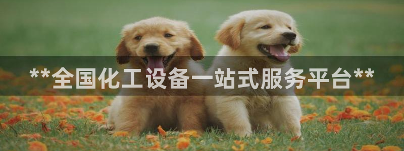 新城平台注册资金多少亿