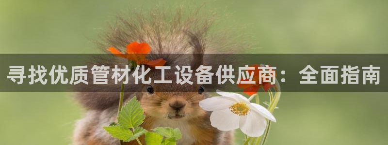 新城平台怎么样