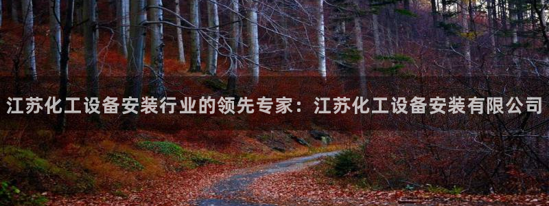 新城平台登录入口网站