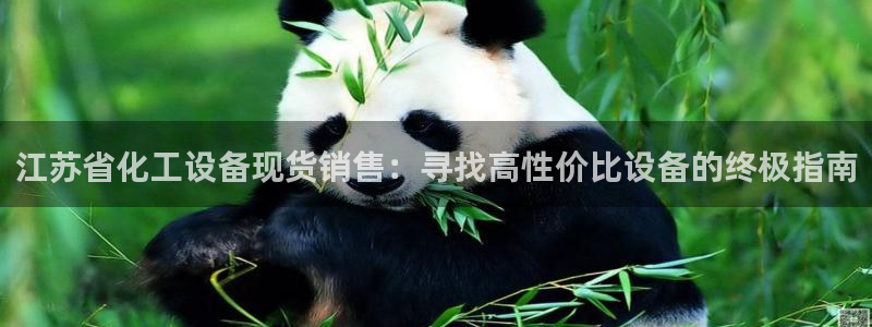 新城平台登录密码忘了怎么改