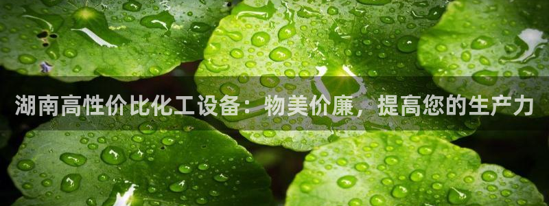 新城平台代理注册流程
