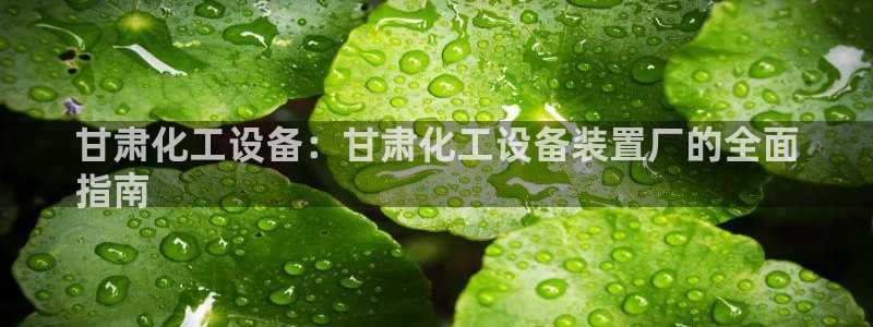 新城平台注册登录地址