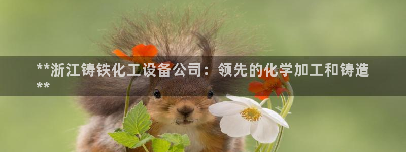 新城平台官网首页