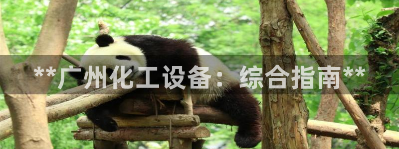 新城平台注册资金多少