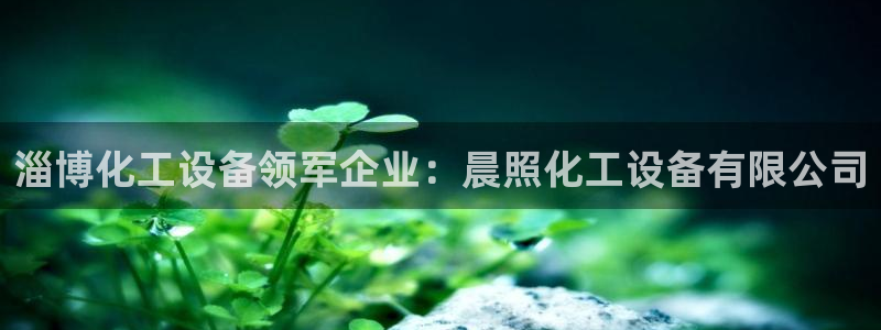 新城平台注册公司流程
