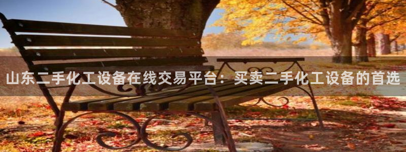 新城平台注册资金多少亿