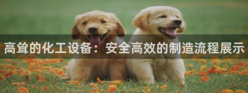 新城平台公司