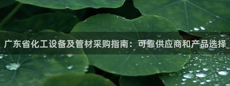 新城平台新注册