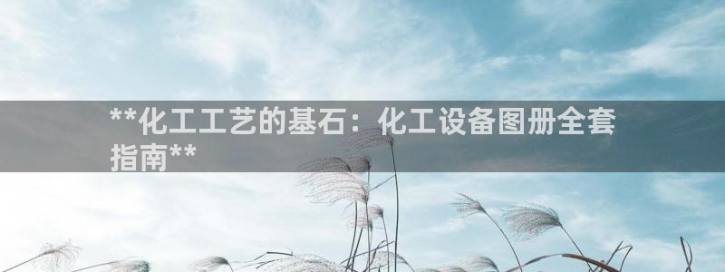 新城平台注册资金多少亿
