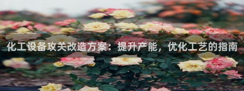 新城平台代理注册