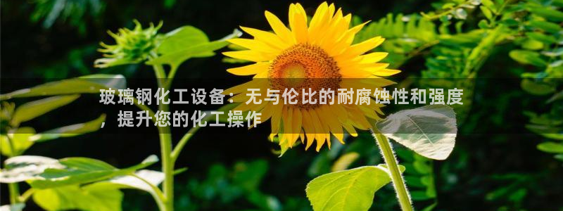 新城平台登录入口官网下载