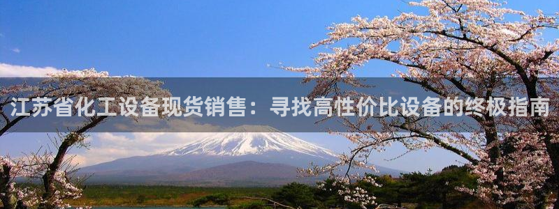新城平台登录入口官网查询信息