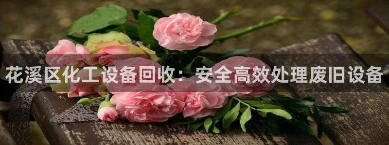 新城平台企业信息查询
