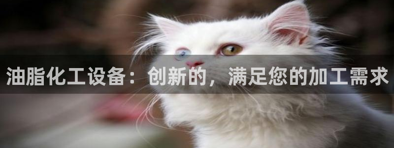 新城平台怎么样