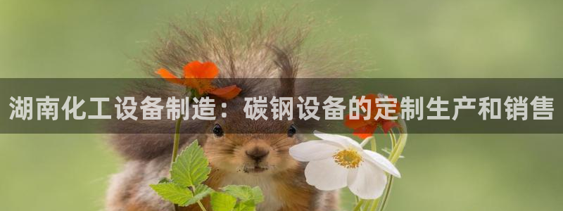 新城平台注册流程图