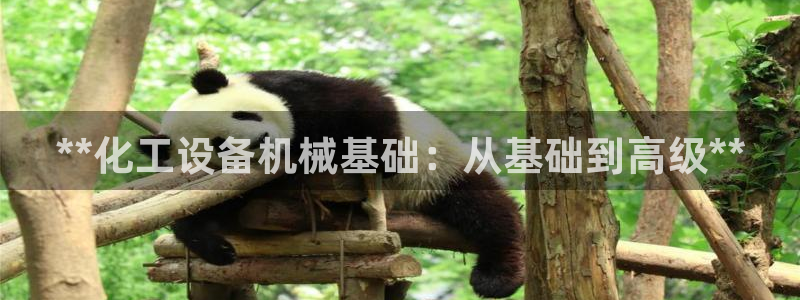 新城平台线路登录不上去了