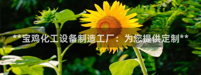 新城平台登录密码忘了怎么改