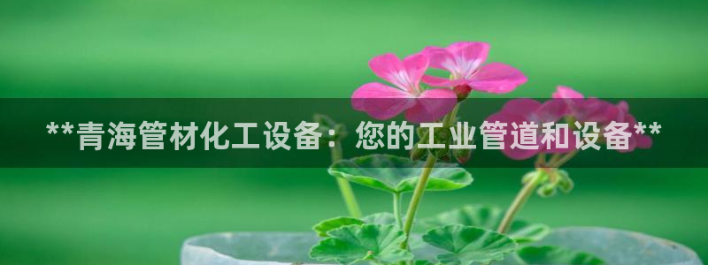新城平台线路登录不上去怎么回事呢