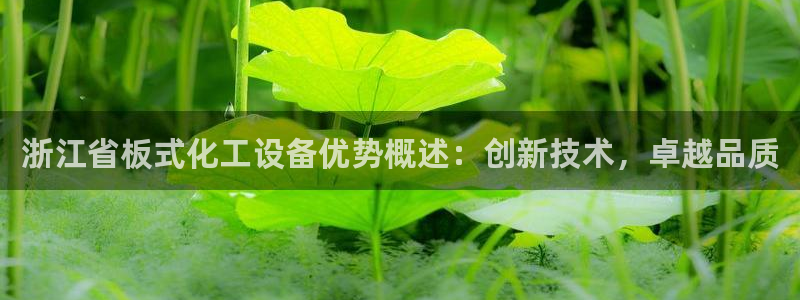 新城平台主管
