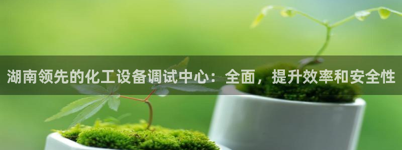 新城平台在线登陆