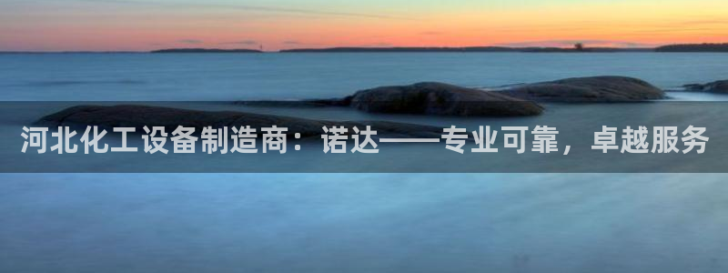 新城平台公司