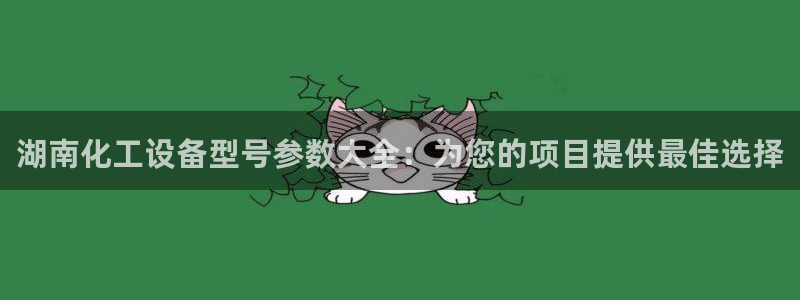 新城平台线路登录不上去怎么办
