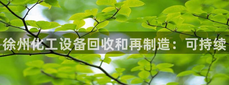 新城平台公司是国企吗