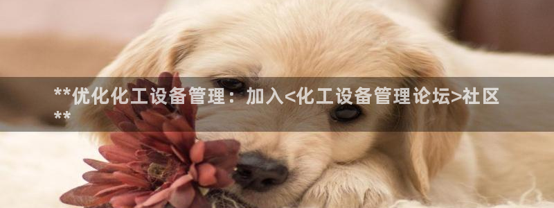 新城平台负责人