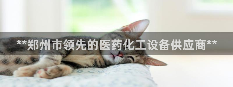 新城平台是干嘛的
