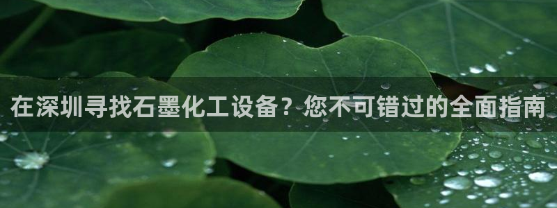 新城平台登录密码忘了怎么办