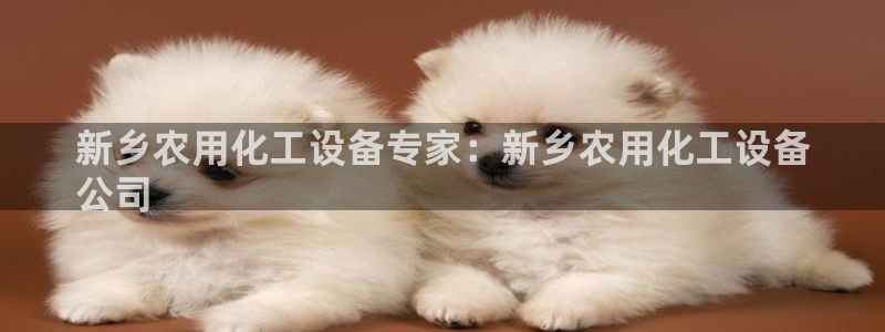 新城平台登录入口官网下载