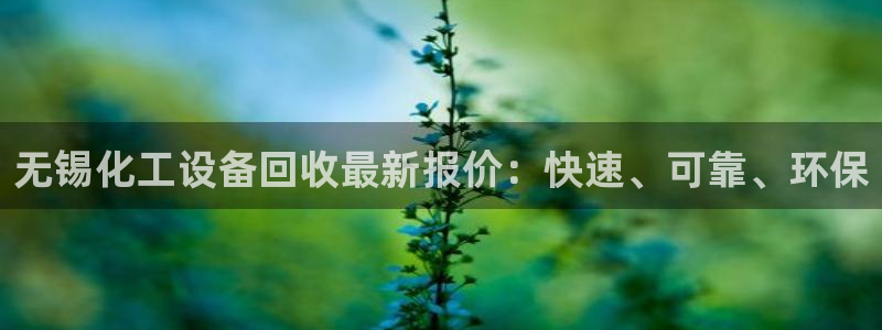 新城平台官网注册
