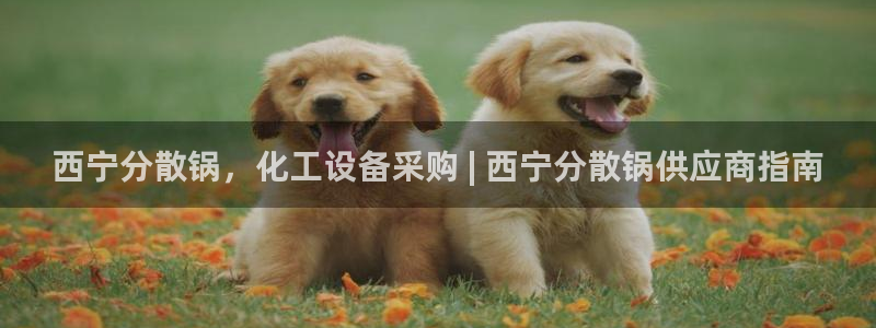 新城平台代理注册公司