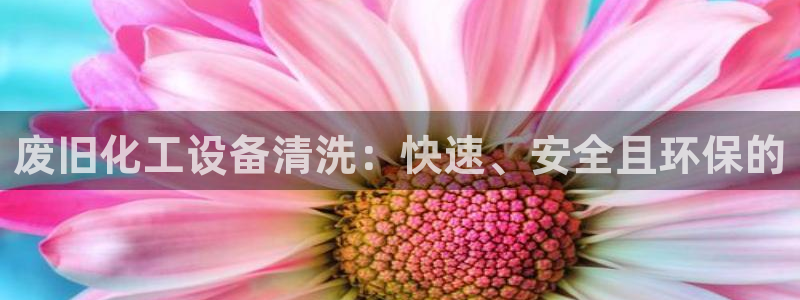新城平台代理注册