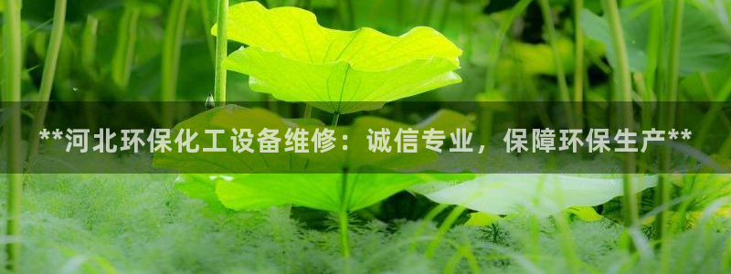 新城平台平台最新活动有哪些