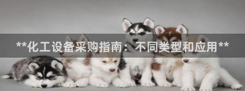 新城平台登录入口官网查询信息