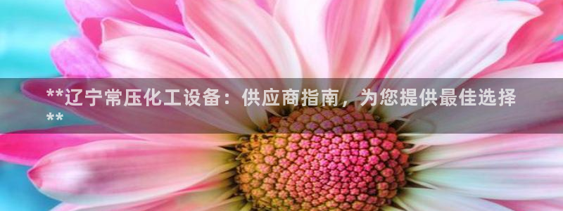 新城平台线路登录不上去怎么回事儿