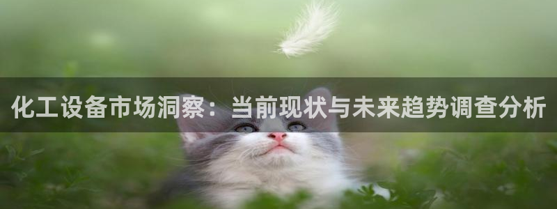 新城平台登录入口官网下载app