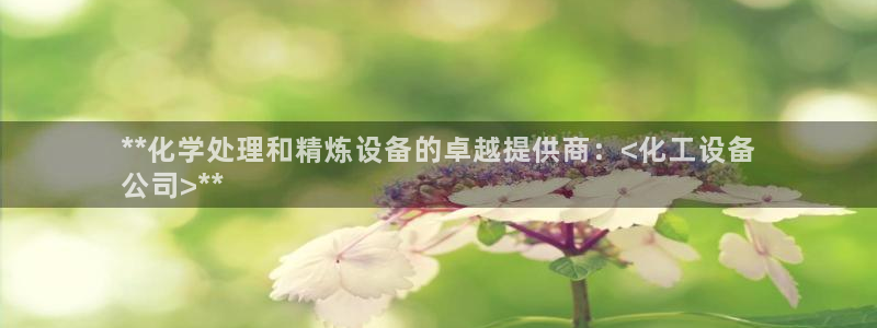 新城平台注册公司流程图