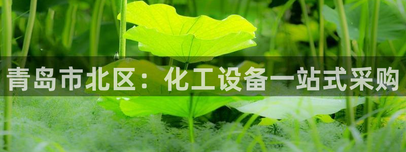 新城平台登陆
