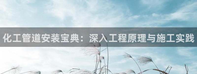 新城平台登录入口官网网址