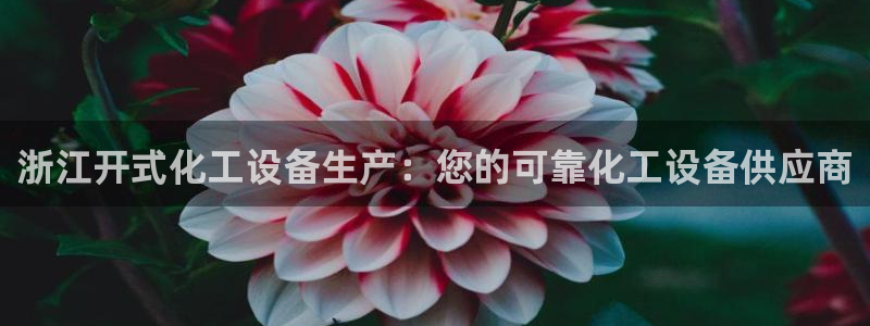 新城平台注册公司流程及费用