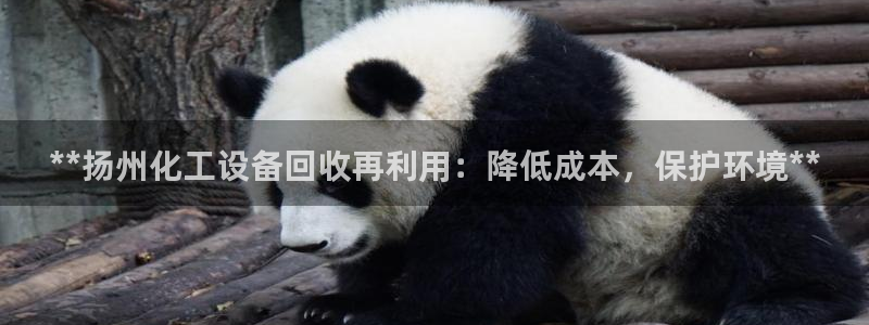 新城平台怎么样