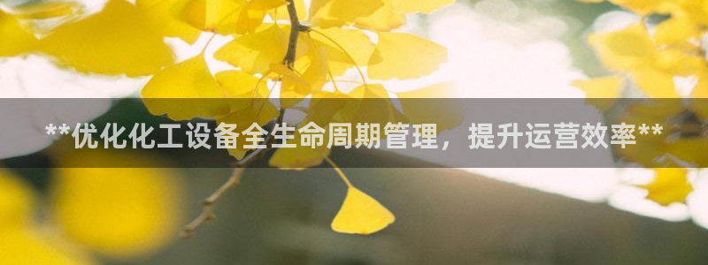新城平台登录入口官网下载手机版