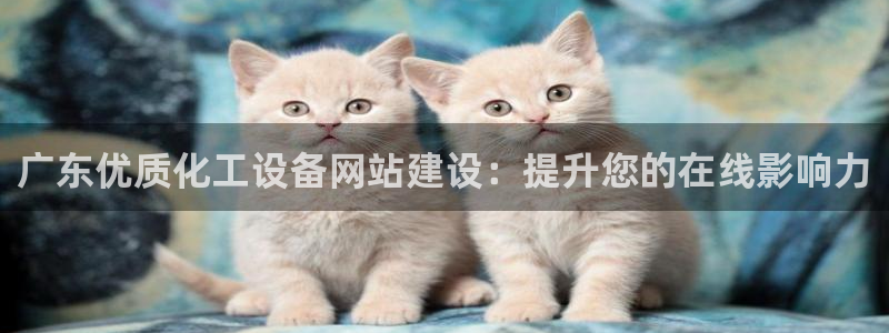 新城平台注册公司流程图