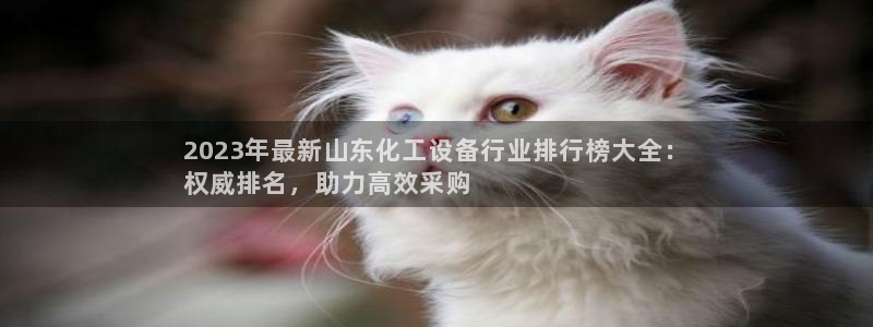 新城平台平台最新活动有哪些