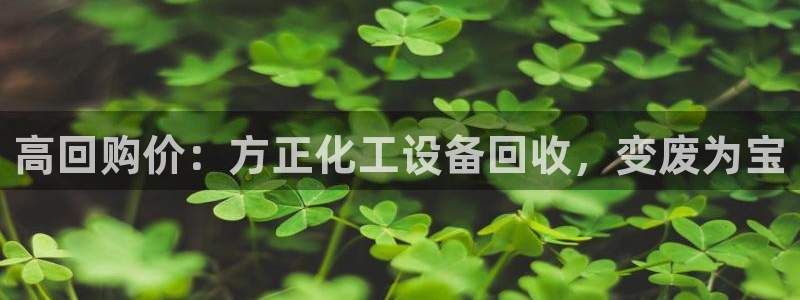 新城平台官网首页入口