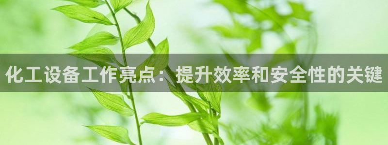 新城平台登录入口网站